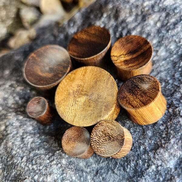 Flared Concave Snakewood Ear Plugs